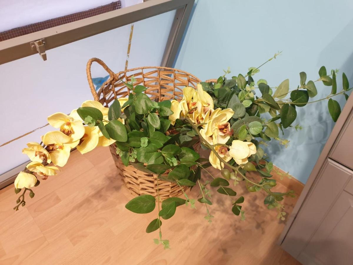 Juliette Rooms Jesi Eksteriør billede